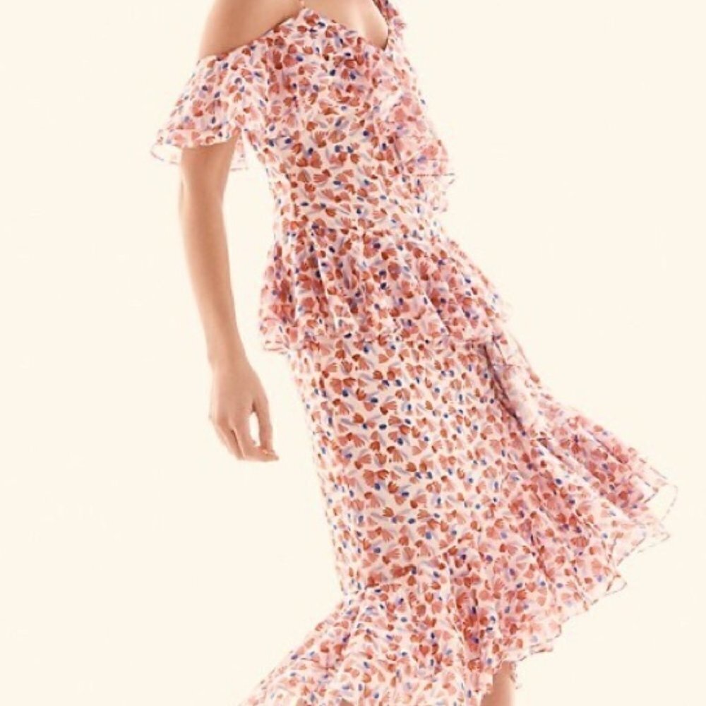 AMUR Dylan Floral Dress Size 0